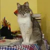 Отзыв от Ксения Потапова